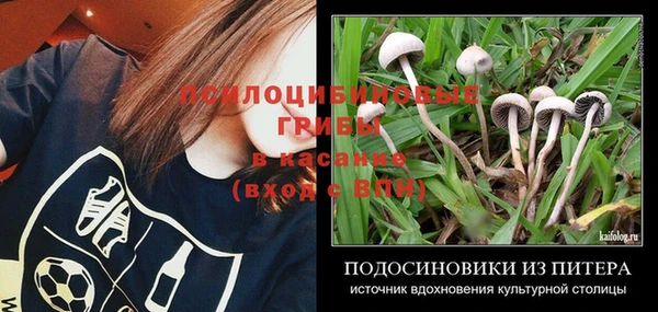 Альфа ПВП Алексин
