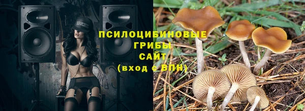 apvp Алексеевка