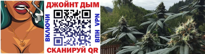 Купить закладки  Камень-на-Оби  Бошки Шишки гибрид 